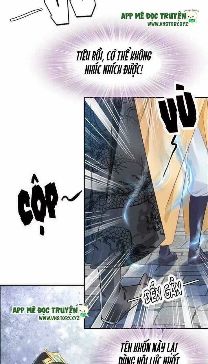 Nhất Sinh Nhất Thế Tiếu Thương Khung: Chapter 24