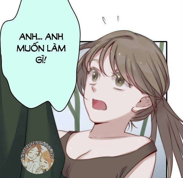 Viện Bảo Tàng Tâm Nguyện: Chapter 3.2