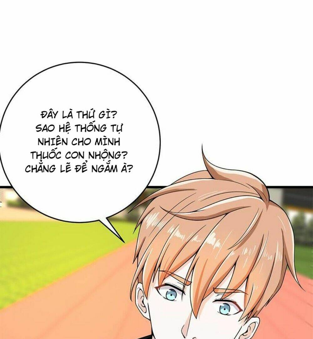 Tối Cường Khí Vận Hệ Thống: Chapter 2