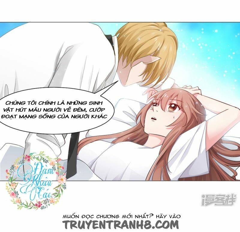 Minh Tinh Là Huyết Tộc: Chapter 5