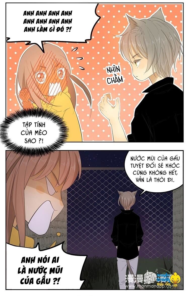 Cứu mạng ! Loài mèo thống trị thế giới rồi !: Chapter 21