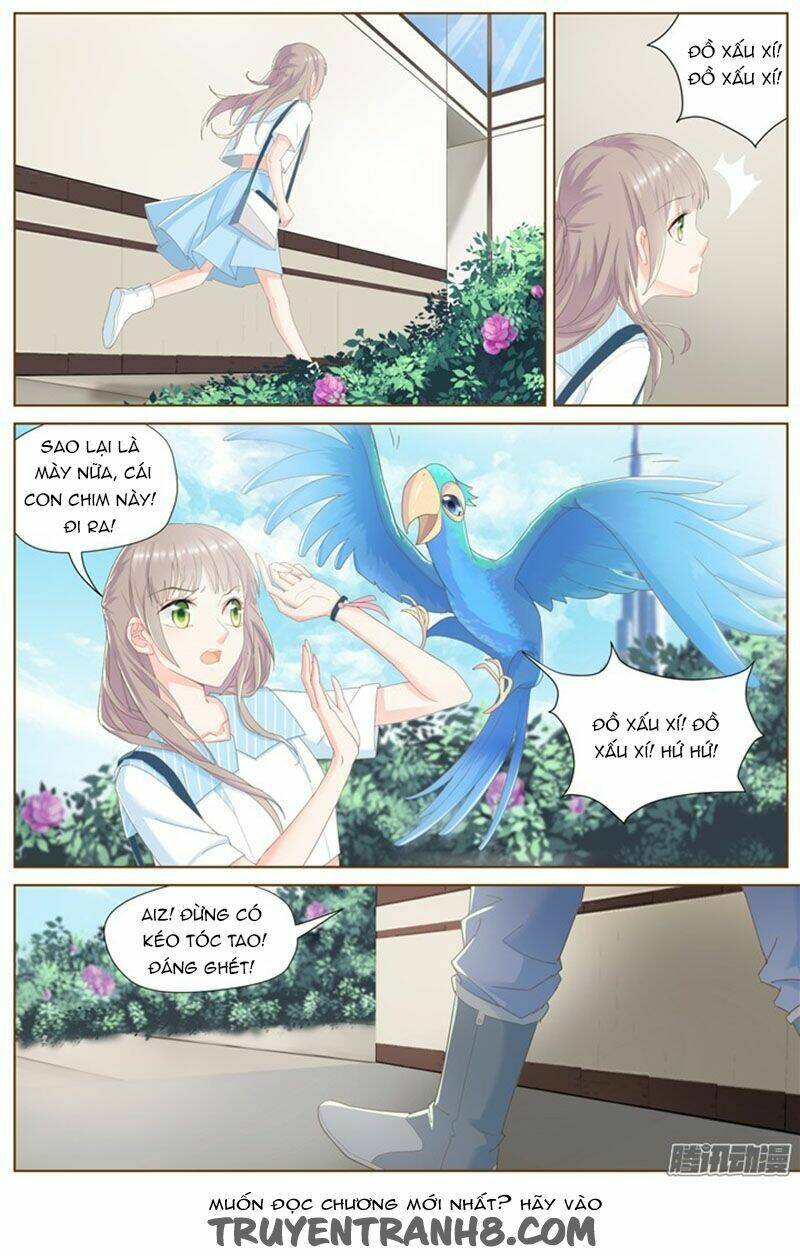 Nam Thần Là Quái Vật: Chapter 63