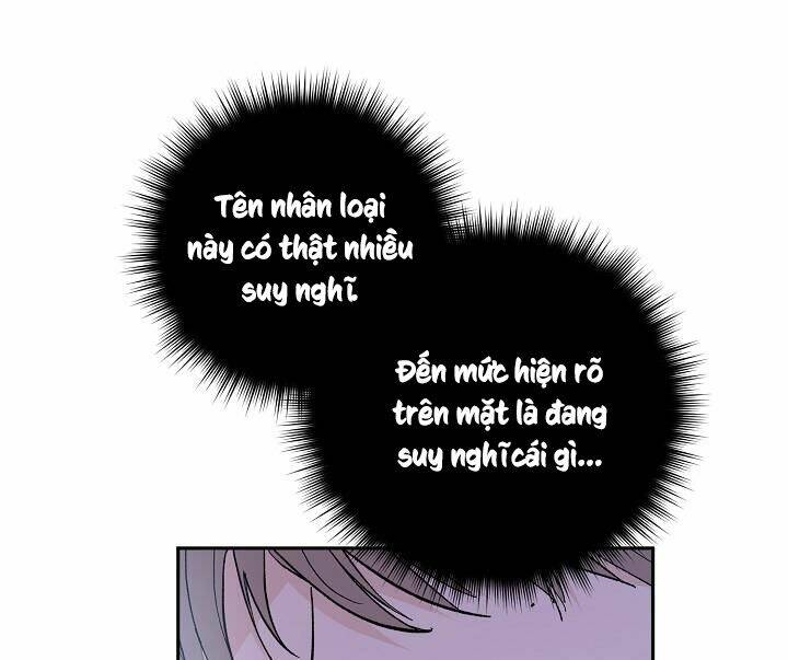 Kẻ Cắp Mặt Trăng: Chapter 37