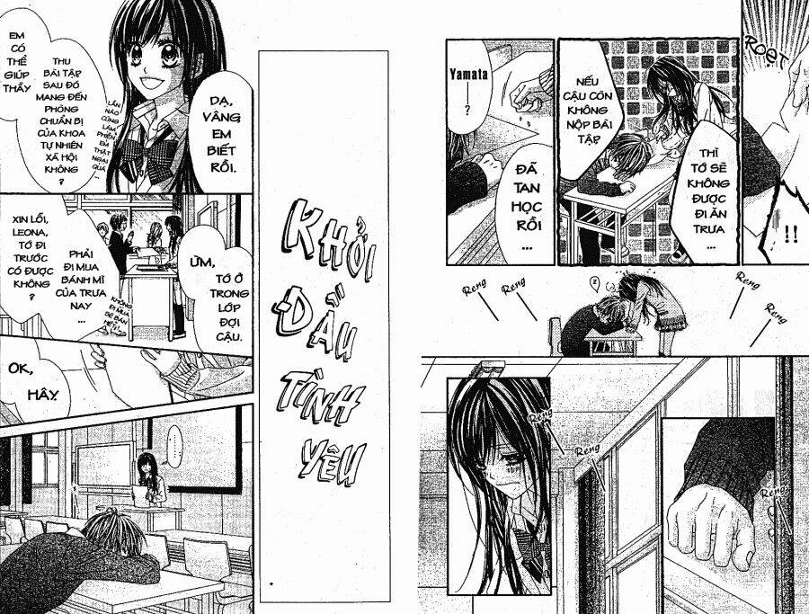 Khởi Đầu Tình Yêu: Chapter 5