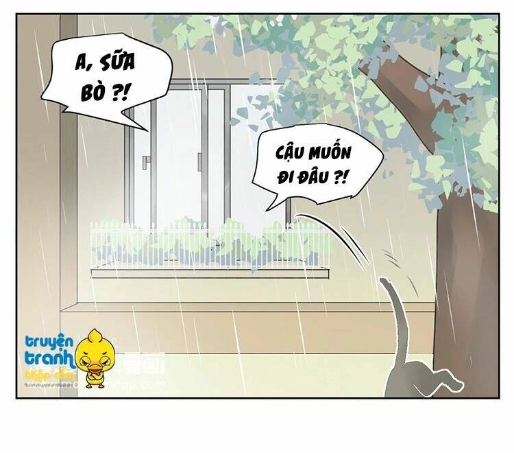 Cứu Mạng! Loài Mèo Thống Trị Thế Giới Rồi!: Chapter 25