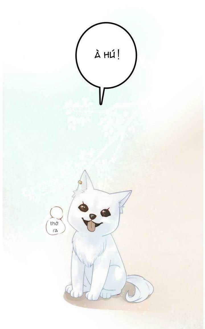 Cướp Lấy Nàng Dâu Mừng Năm Mới: Chapter 4