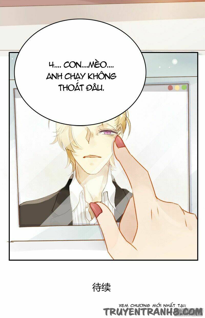 Sức Mạnh Của Sắc Đẹp: Chapter 135