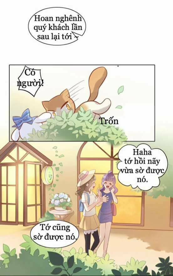 Dưới Móng Vuốt Mèo: Chapter 8
