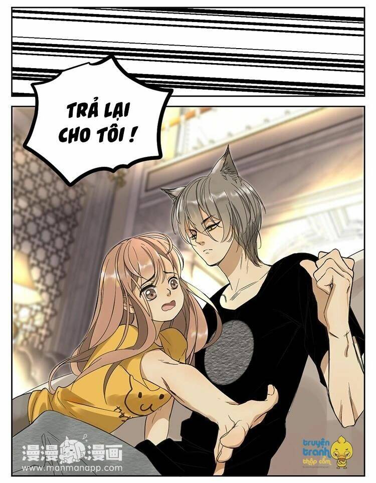 Cứu Mạng! Loài Mèo Thống Trị Thế Giới Rồi!: Chapter 11