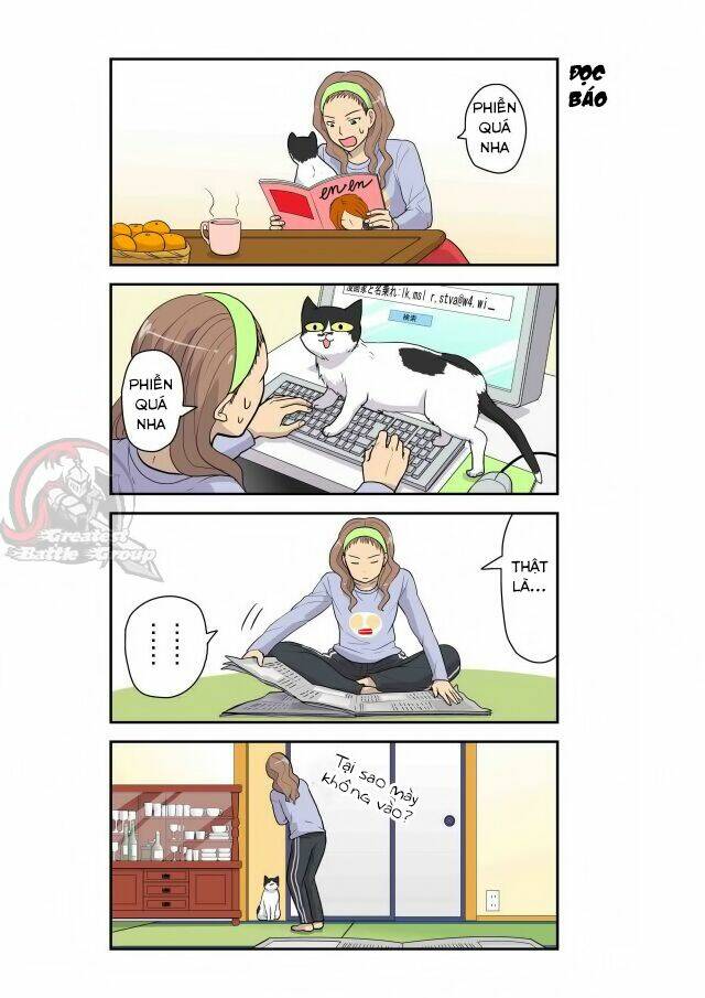 Cat is silver vine: Chapter 4