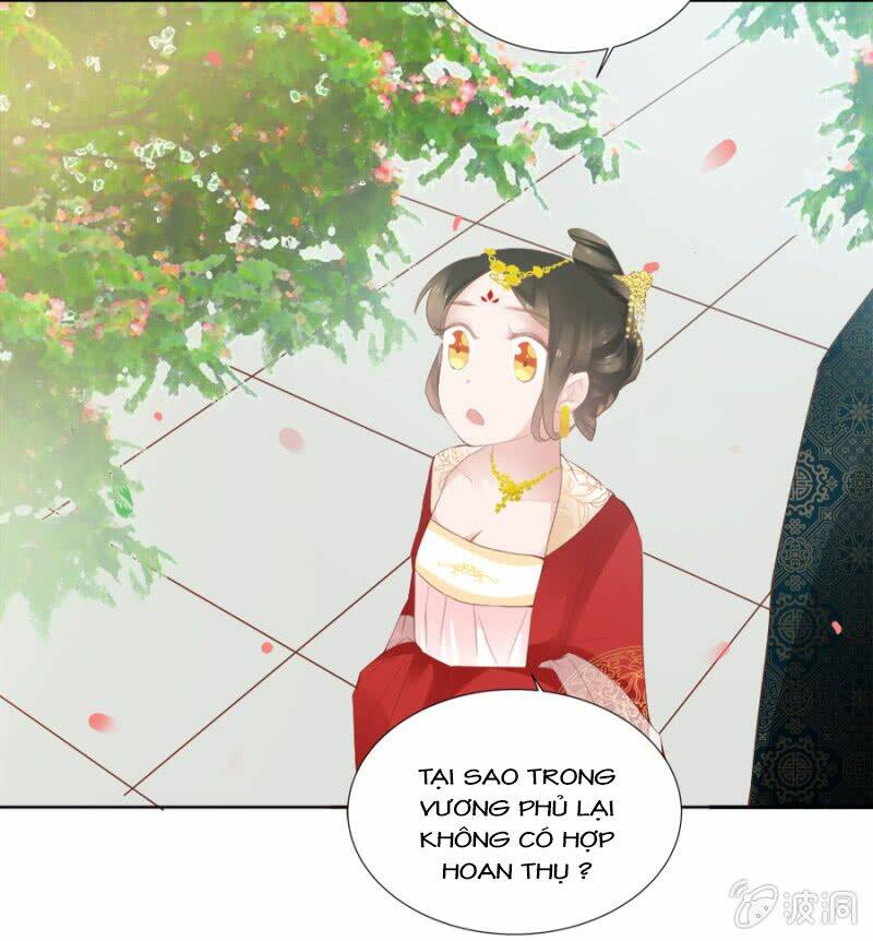 Solo Đi Vương Gia: Chapter 49