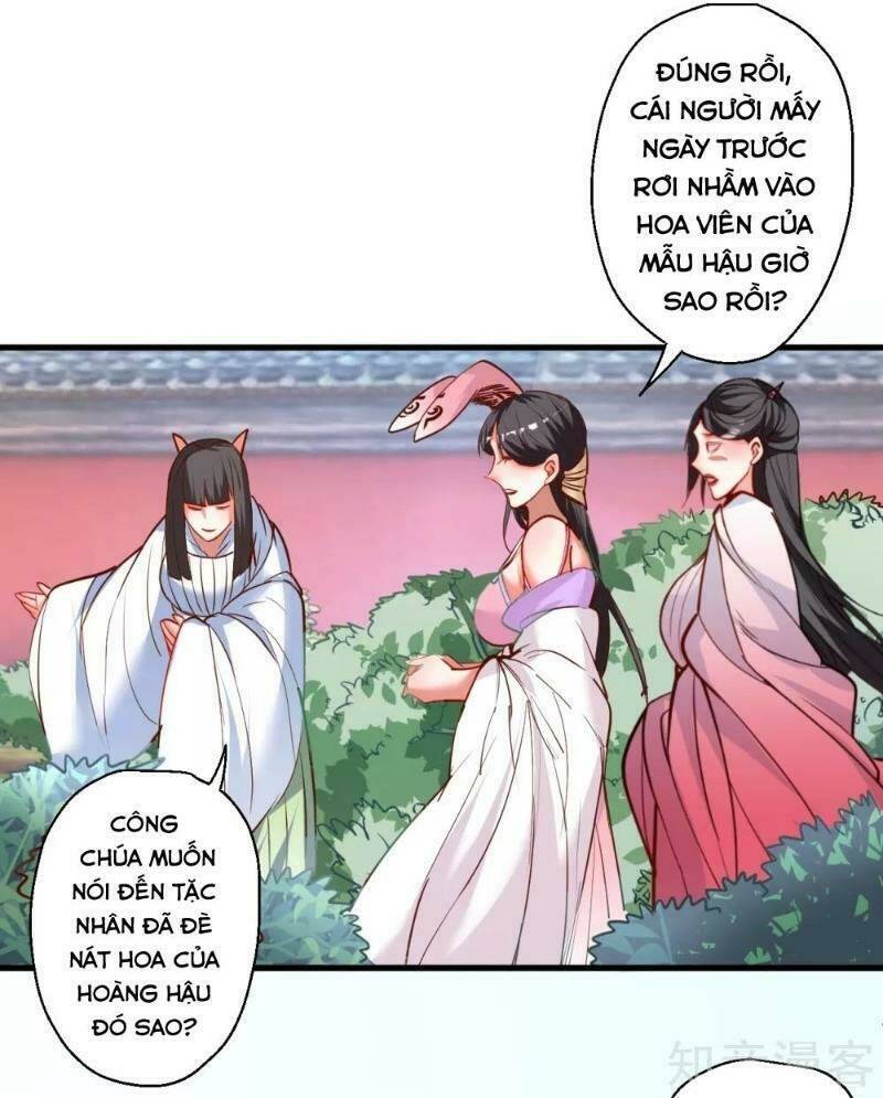 Tối Cường Đại Biểu Hoàng Kim Thận: Chapter 82