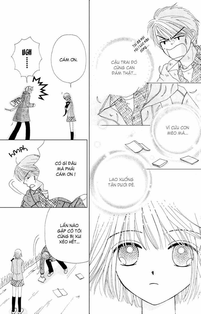 Dự Án Kéo Vàng: Chapter 11