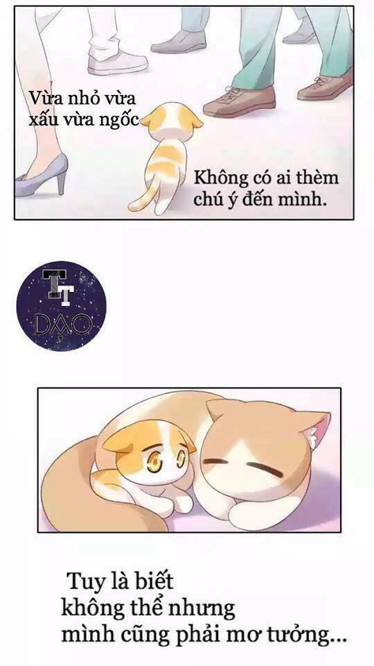Dưới Móng Vuốt Mèo: Chapter 11
