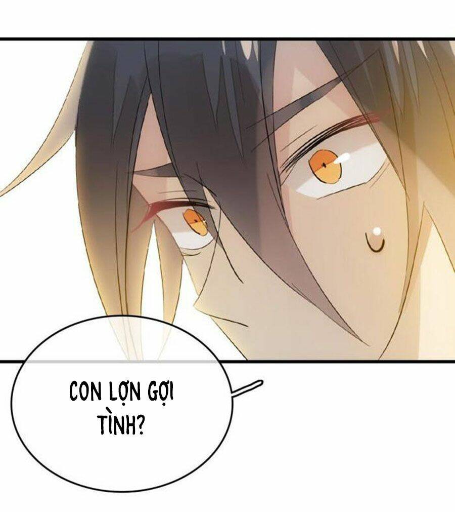 Sư Phụ Lại Trêu Chọc Ta: Chapter 67