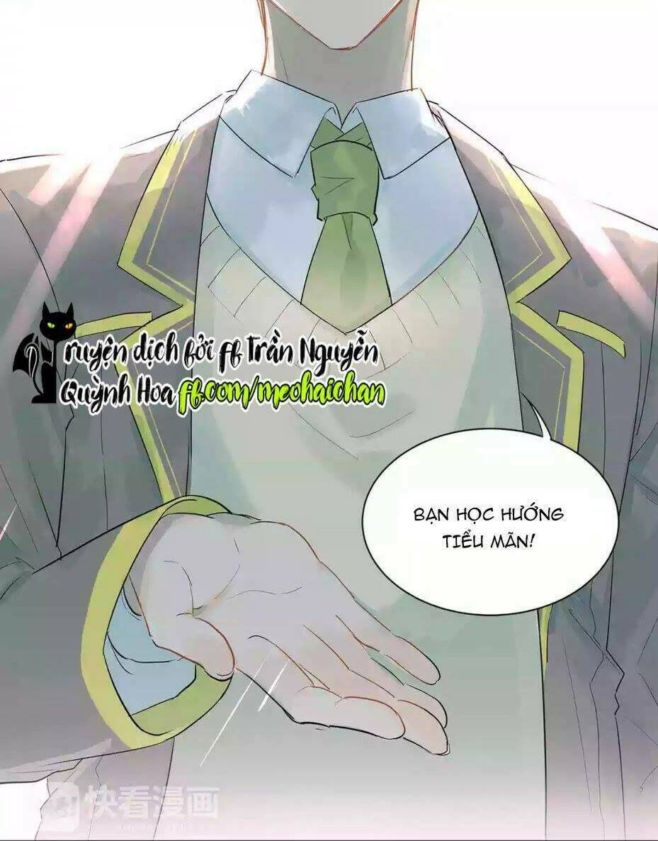 Đầu Gấu Biết Yêu: Chapter 7