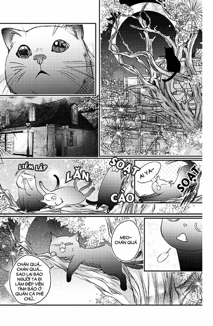 Chữ thập nhuộm máu: Chapter 14