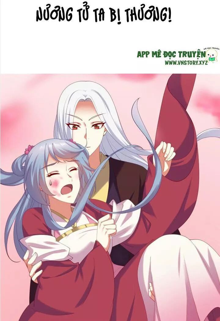 Đô đốc đại nhân sủng thê kí: Chapter 74: Trong mắt chỉ có nàng