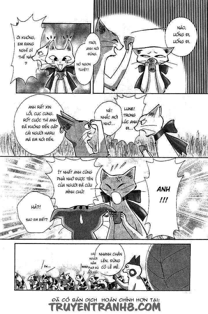 Lời Thì Thầm Từ Trái Tim: Chapter 8