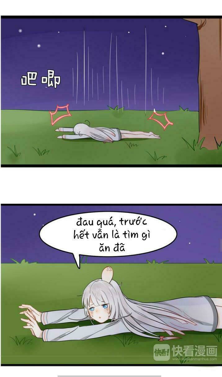 Thú Sủng Của Tôi Bị Mất Trí Rồi: Chapter 5