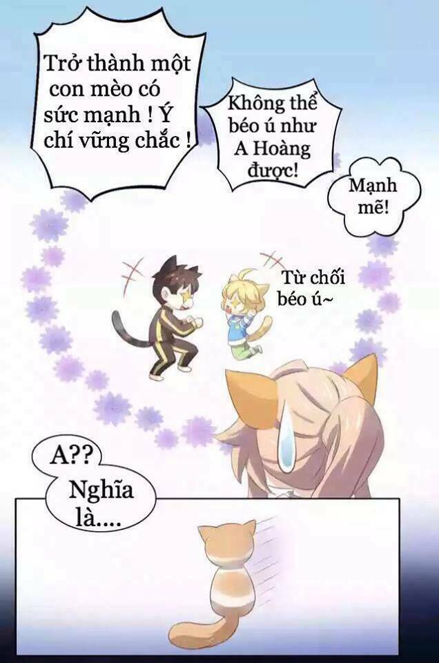 Dưới Móng Vuốt Mèo: Chapter 11