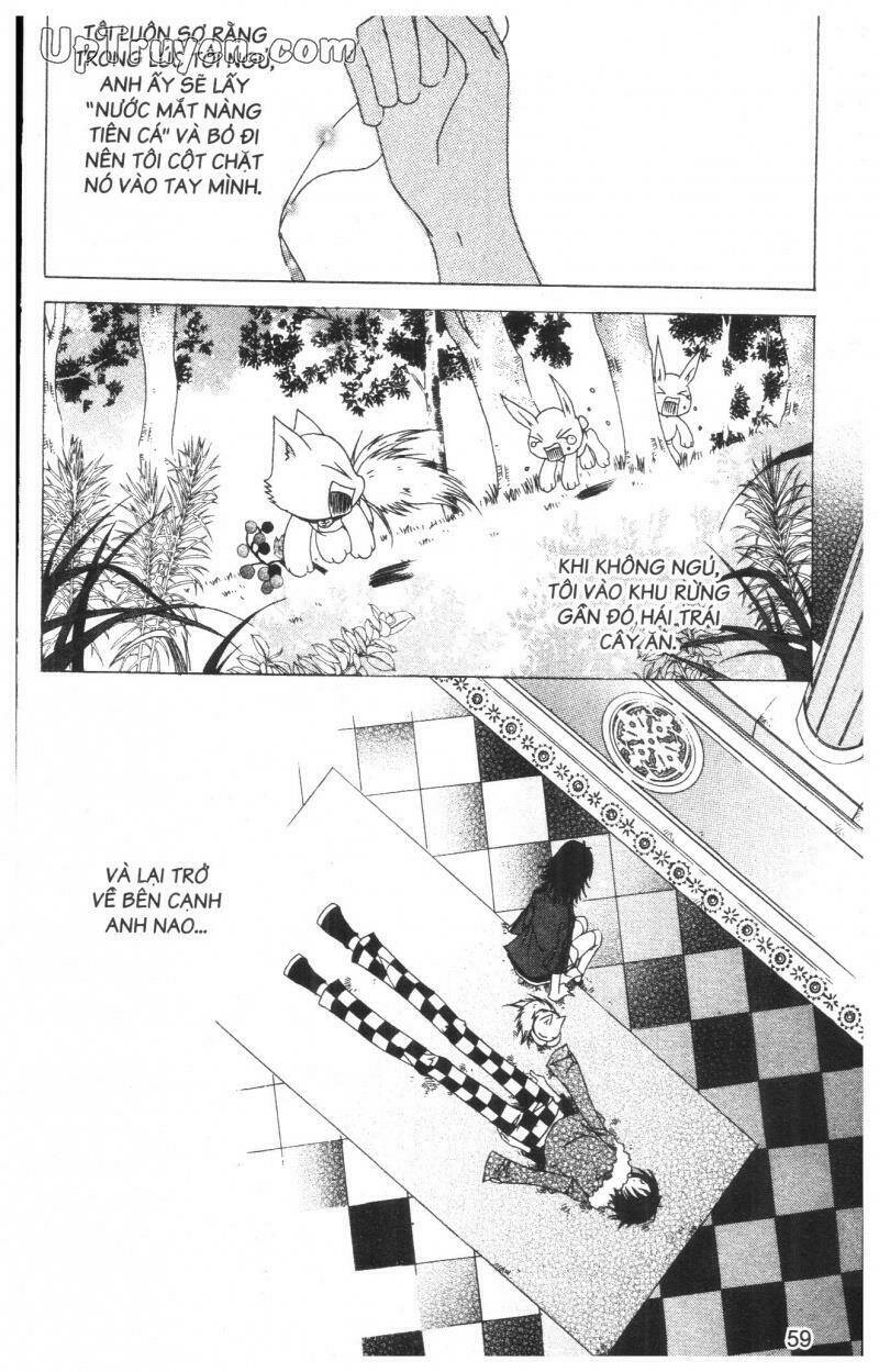 Nước Mắt Nàng Tiên Cá: Chapter 8