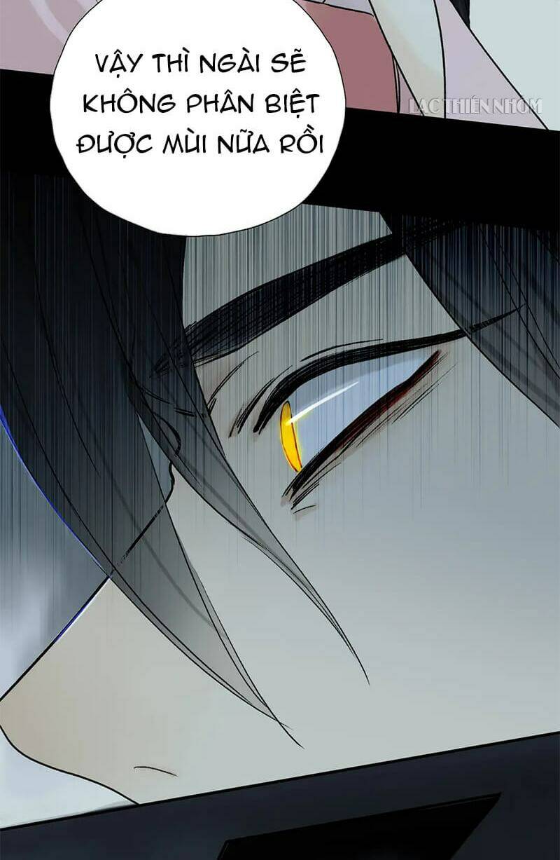 Phép Tắc Trường Ogus: Chapter 52