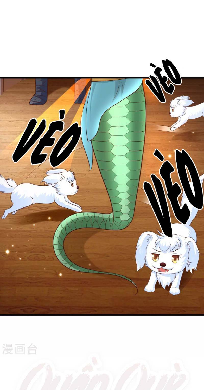 Tối Cường Vận Đào Hoa: Chapter 81