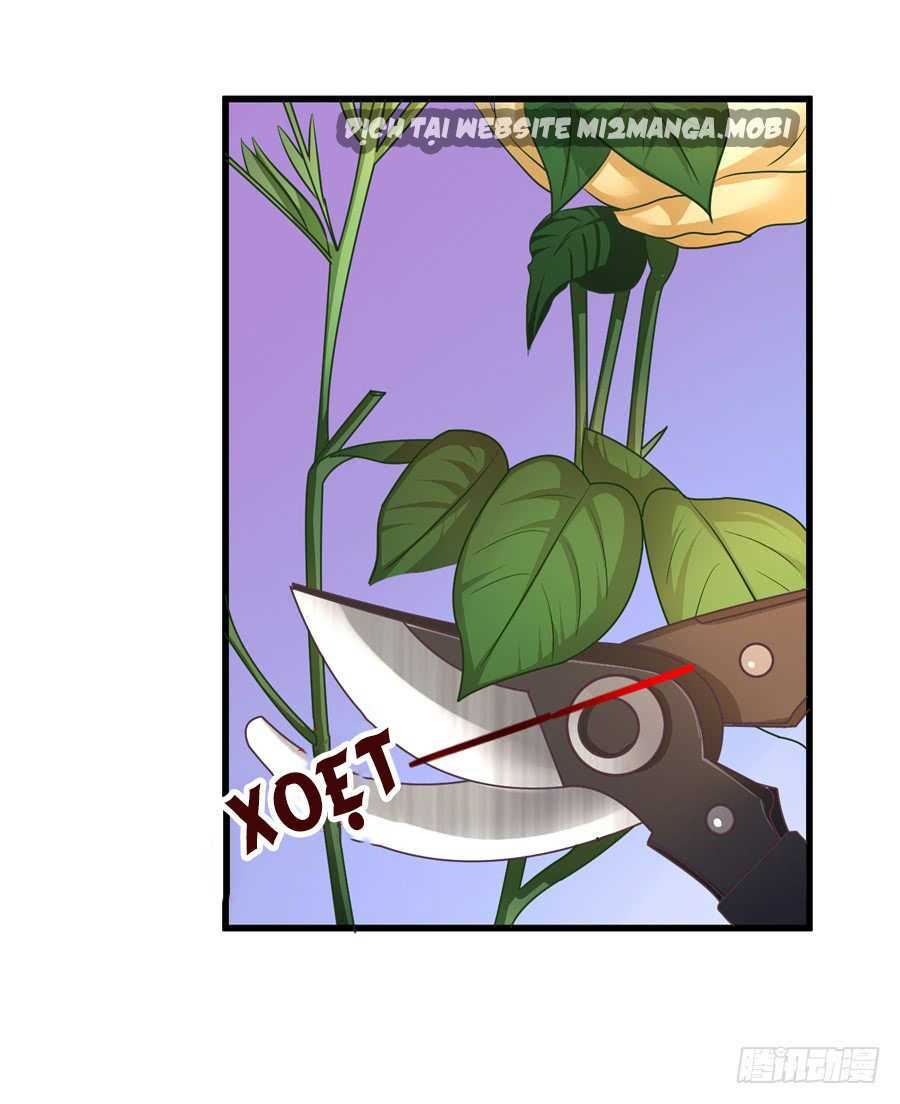 Gả Cho Tình Cũ Làm Lão Bà: Chapter 8