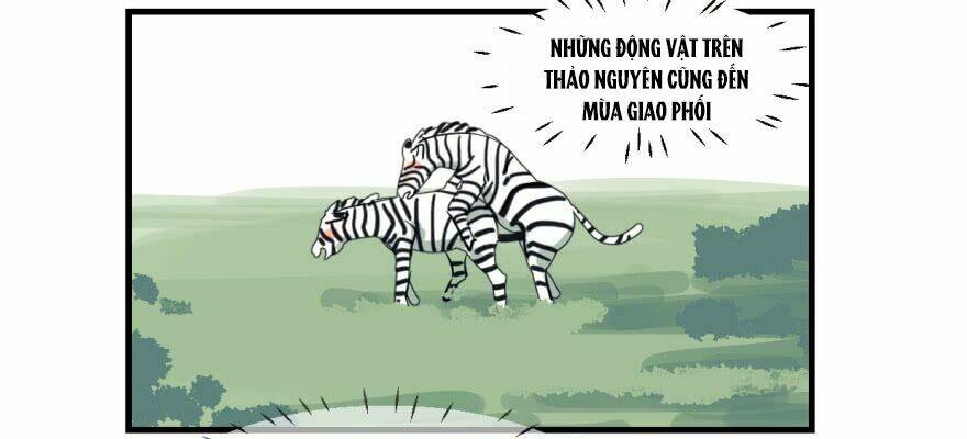 Truy Bắt Ngao Ngao: Chapter 10