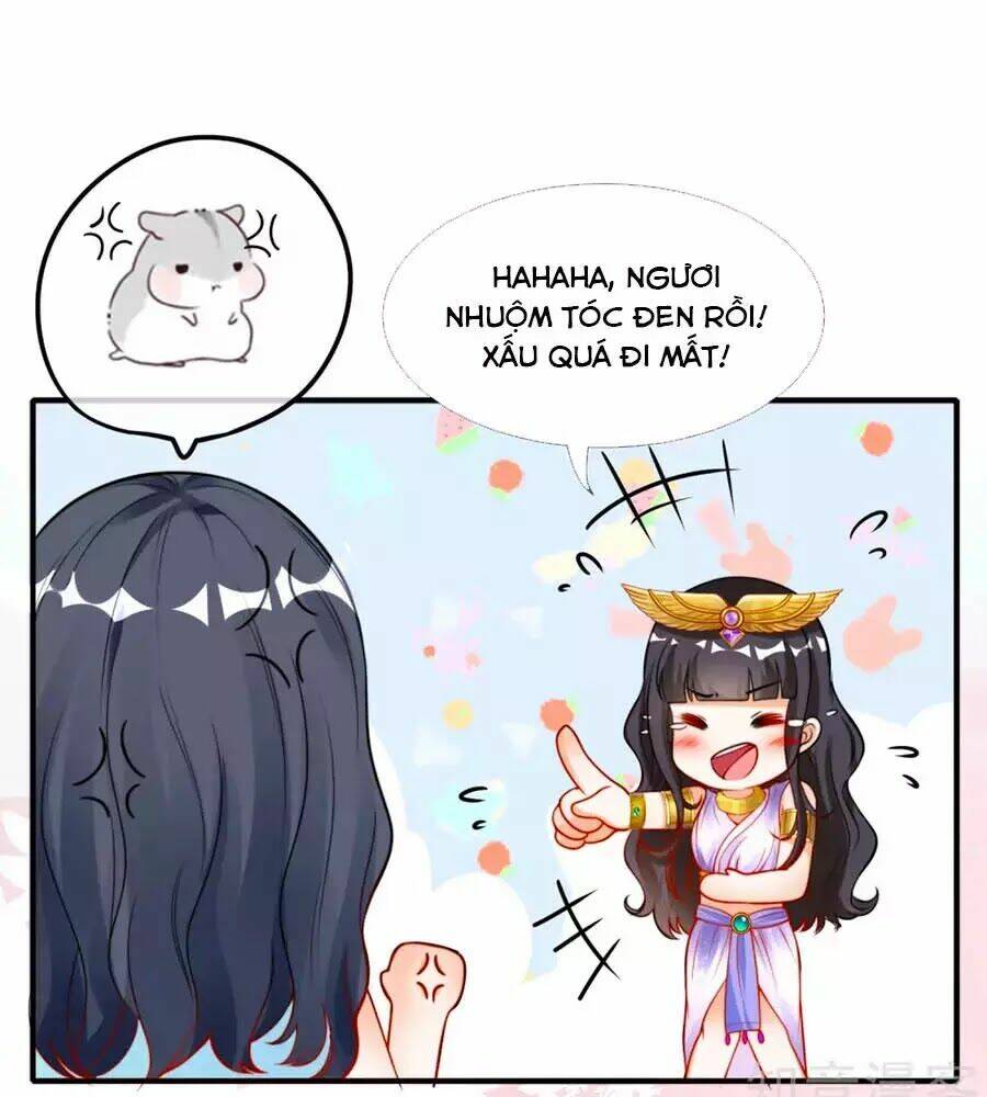 Sủng Hậu Của Vương: Chapter 13