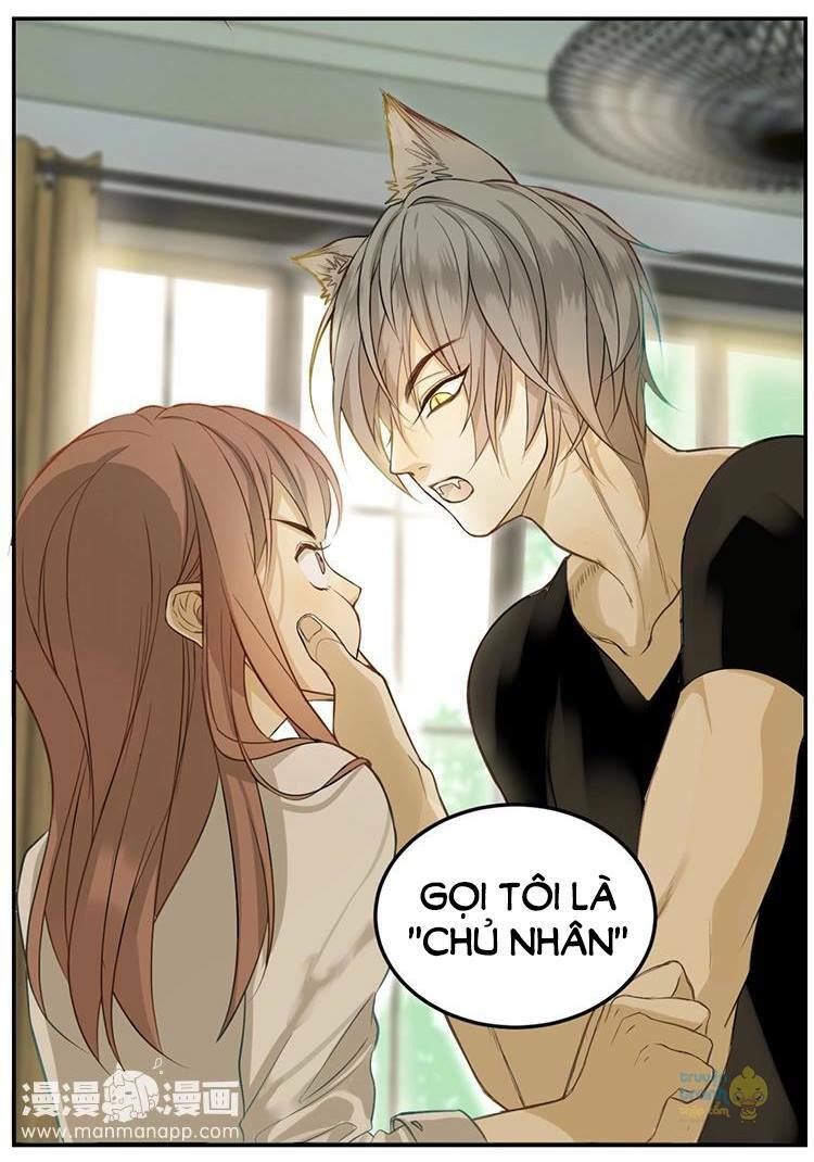 Cứu mạng ! Loài mèo thống trị thế giới rồi !: Chapter 3
