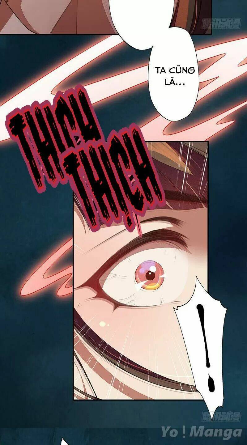 Tuyệt Thế Luyện Đan Sư: Chapter 112