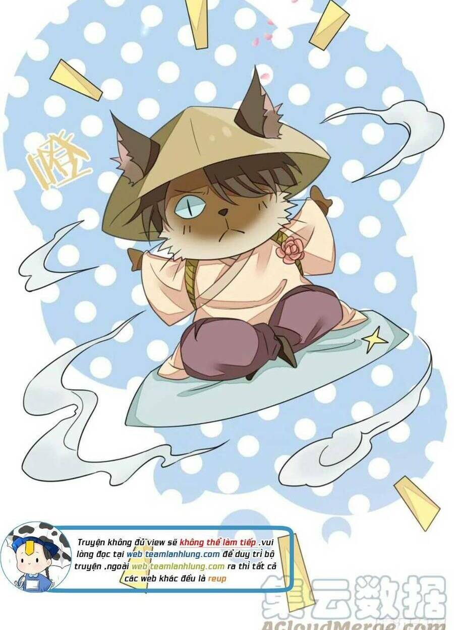 Mau Xuyên Không Rửa Tội Cho Nhân Vật Phản Diện: Chapter 105