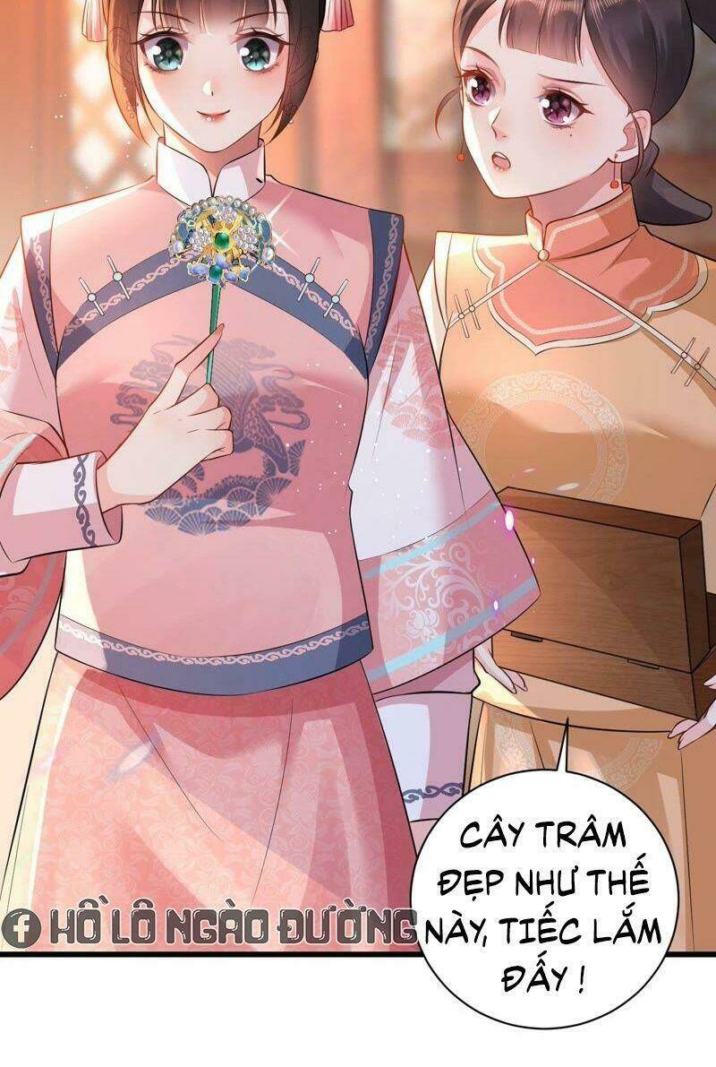 Quận Chúa Vững Vàng, Thiết Lập Nhân Vật Không Thể Vỡ: Chapter 68