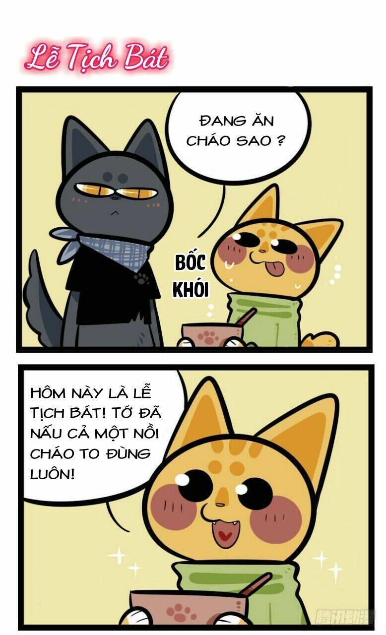 Đời Không Như Mình Tưởng: Chapter 20