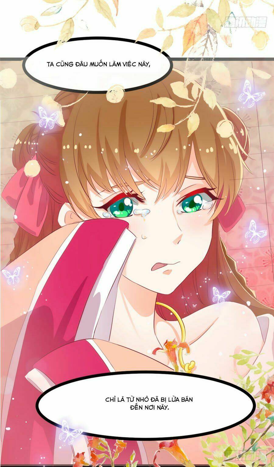 Ngọc Vi Mai: Chapter 5