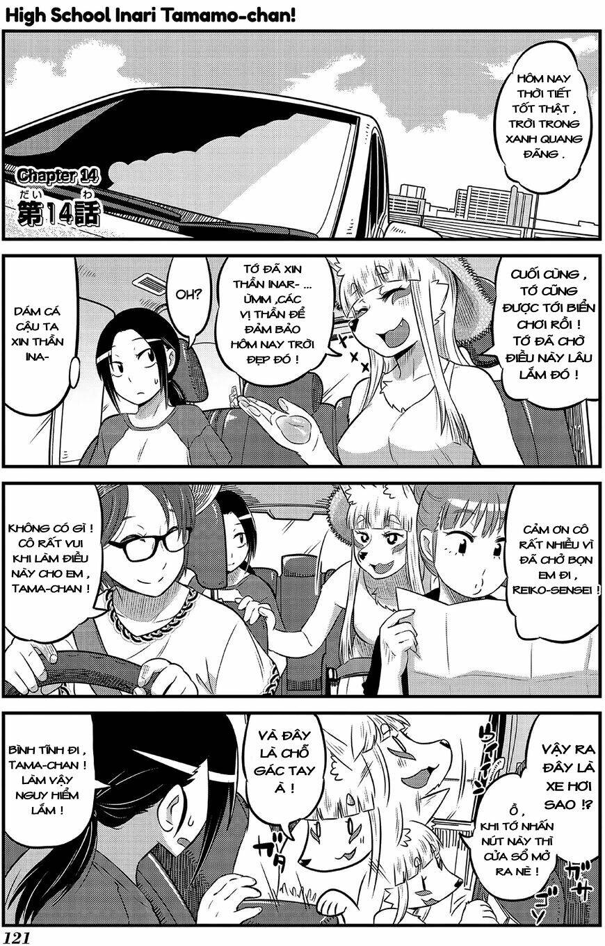 High School Inari Tamamo-Chan: Chapter 14