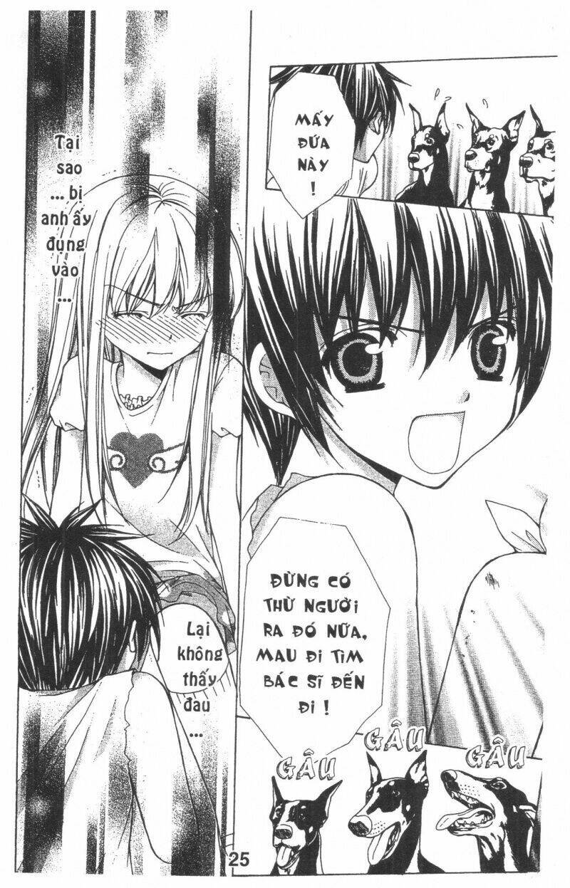 Trái Tim Kim Cương: Chapter 1