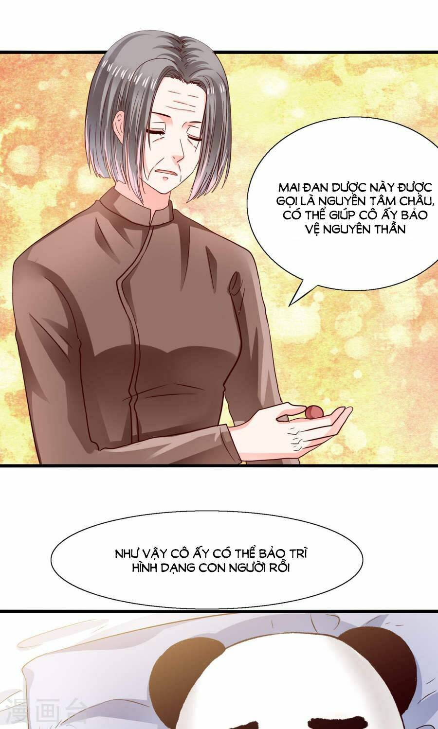Tôi Bị Gấu Trúc Nhìn Trúng Rồi: Chapter 13