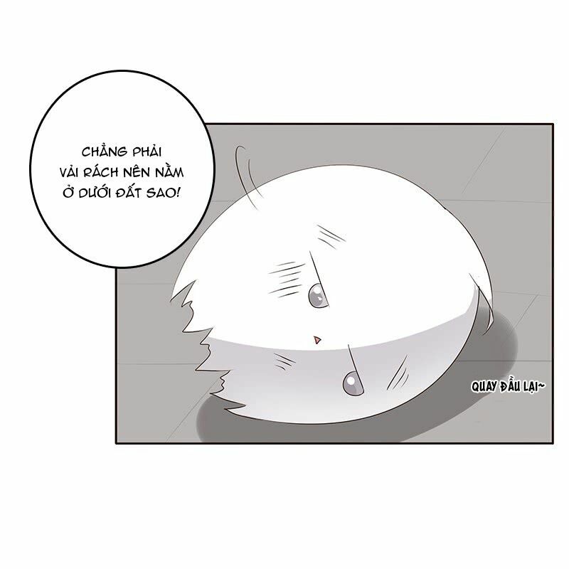 Thông Linh Phi: Chapter 163