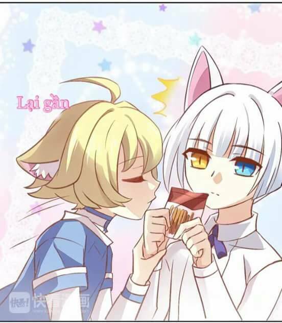 Dưới Móng Vuốt Mèo: Chapter 6