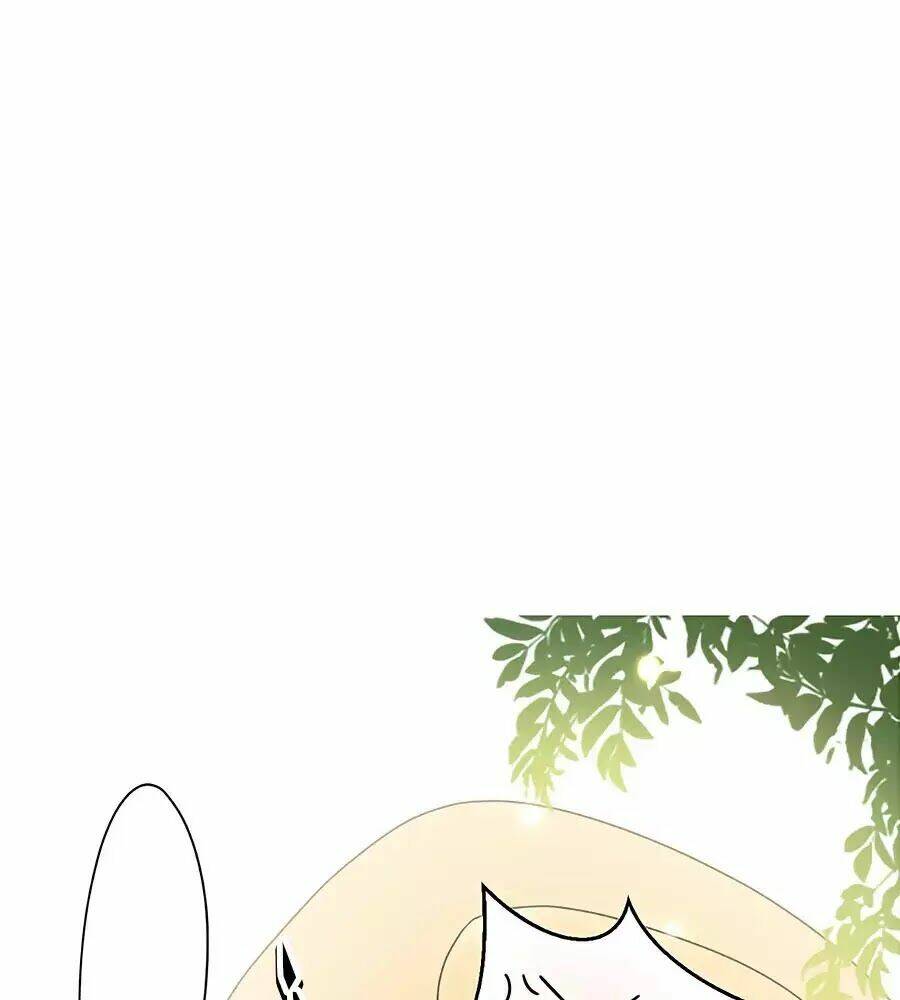 Vương Phi Thông Linh: Chapter 8