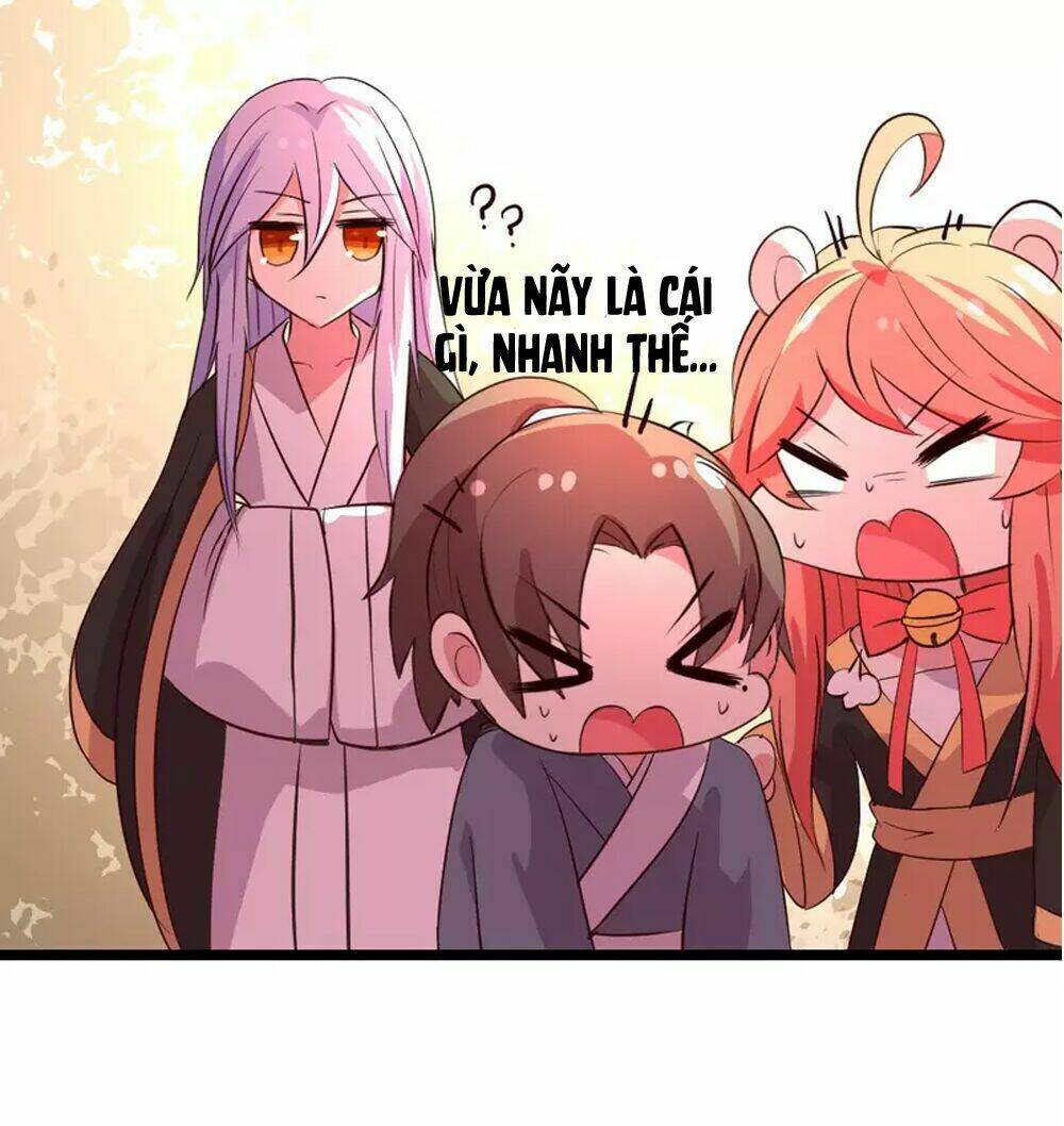 Đệ Tử Của Ta Là Heo: Chapter 8