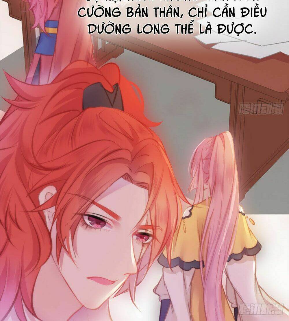 Trẫm Quyết Định Giải Tán Hậu Cung: Chapter 5