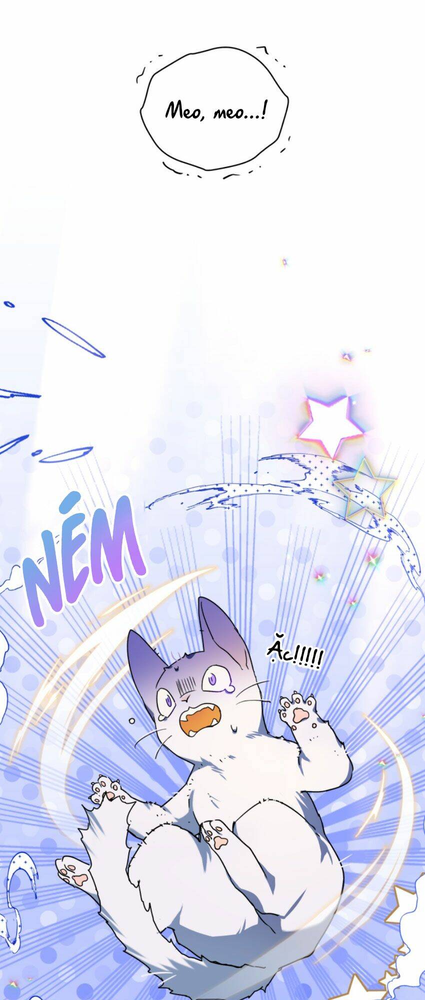 Nàng Elizabeth Thuần Khiết: Chapter 28