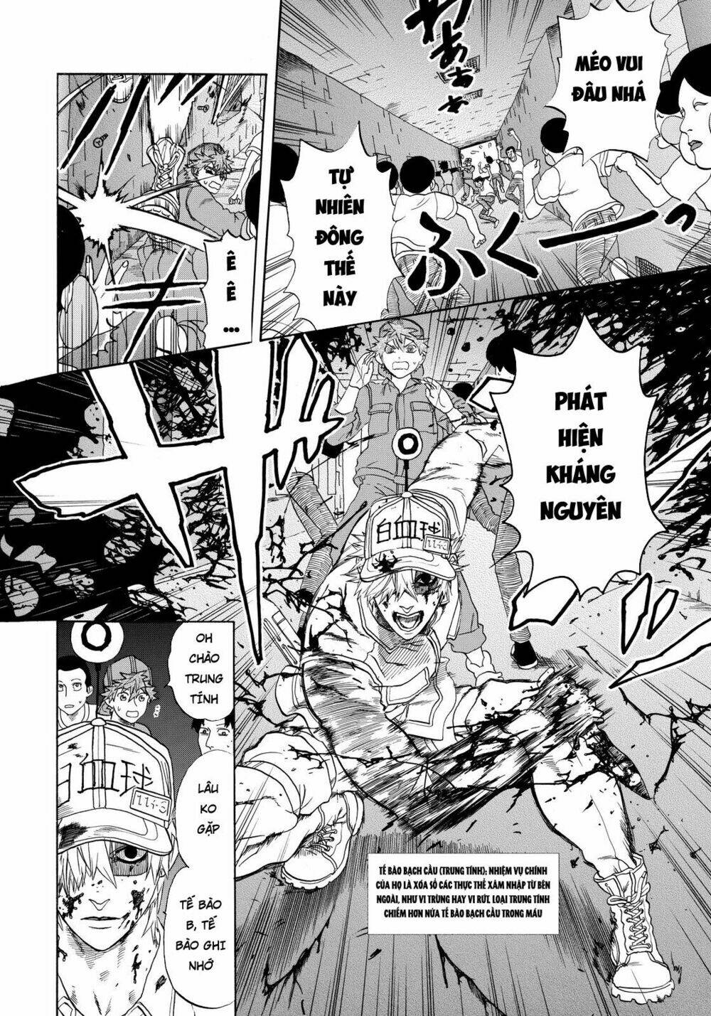 Hataraku Saibou!: Chapter 13