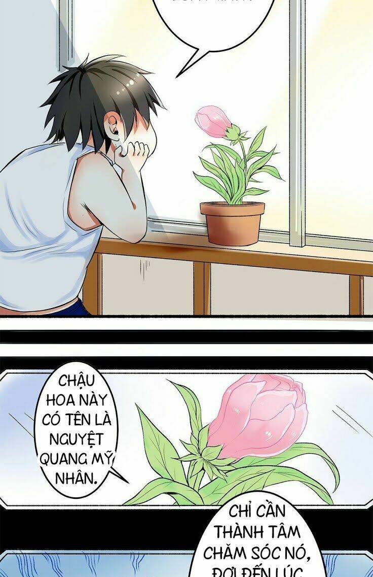 Song Diện Đặc Công: Chapter 1