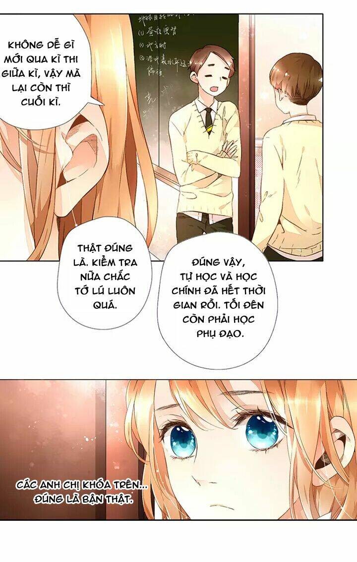 Tình Yêu Là Màu Hoa Anh Thảo: Chapter 16.1