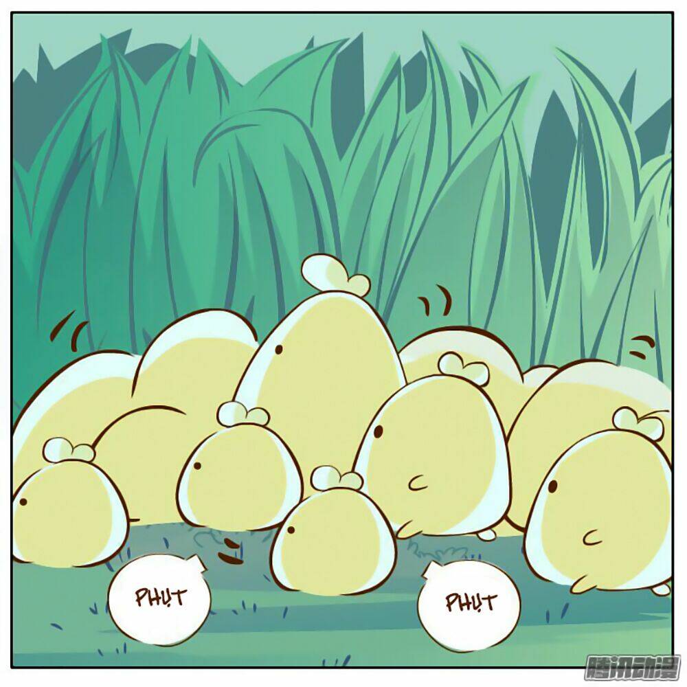 Hòa Thượng Và Tiểu Long Quân: Chapter 6